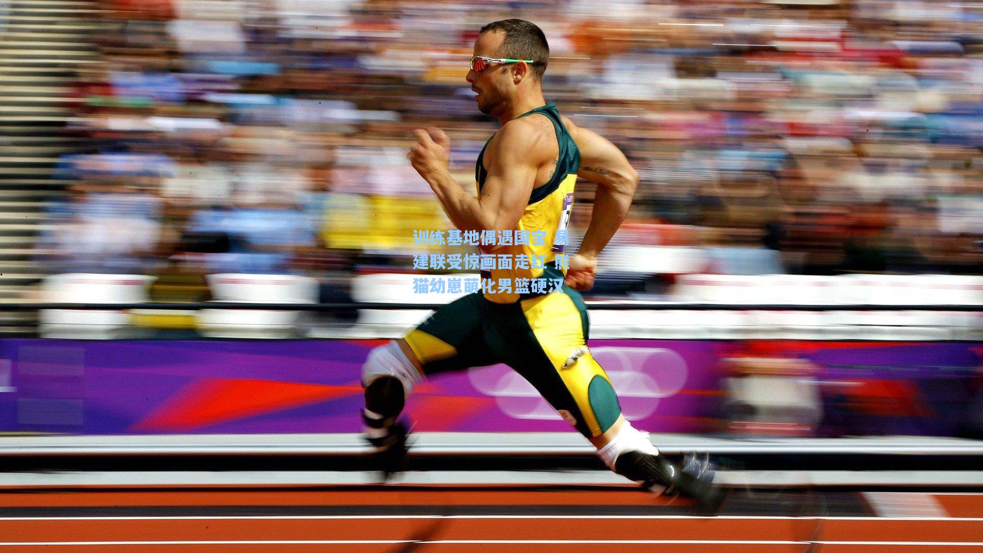 训练基地偶遇国宝 易建联受惊画面走红 熊猫幼崽萌化男篮硬汉